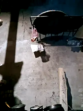 xuxulovezz online show from 11/13/25, 01:04