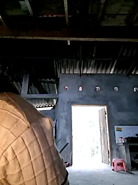 xuxulovezz online show from 12/03/25, 12:18