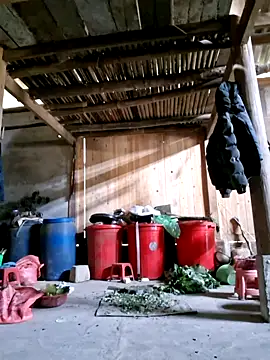 xuxulovezz online show from 02/26/26, 04:11