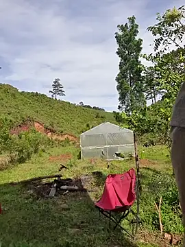 Helen-Tran online show from 10/24/25, 01:35