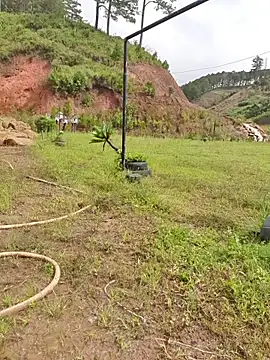 Helen-Tran online show from 11/21/25, 03:27