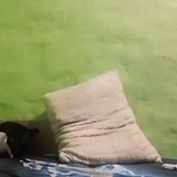 kaland69 online show from 11/09/25, 09:24