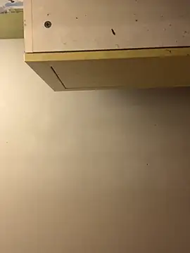 Snapshot of chtentation chatting on 12/15/25, 04:50 chtentation online show from 12/15/25, 04:50