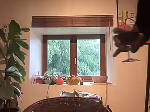 Snapshot of chtentation chatting on 02/14/26, 02:03 chtentation online show from 02/14/26, 02:03