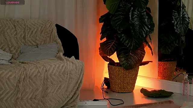 EvaAmanti online show from 01/11/26, 04:39