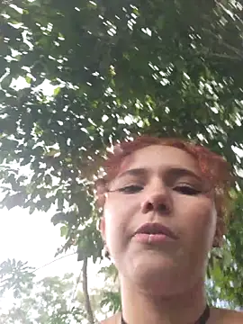  TOMOE online show from 11/29/25, 06:00