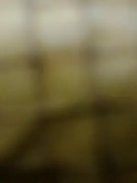 Rs sonam online show from 12/03/25, 10:57