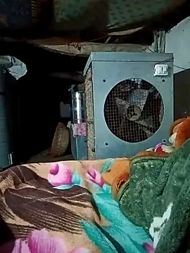 Lona2525 online show from 02/16/26, 08:38