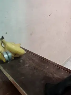 Snapshot of Rahulkumar_89 chatting on 02/20/26, 03:47 Rahulkumar 89 online show from 02/20/26, 03:47