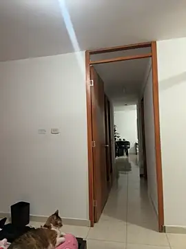 violeticafox online show from 12/21/25, 03:46