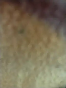 PEEHU-50 online show from 02/02/26, 03:27