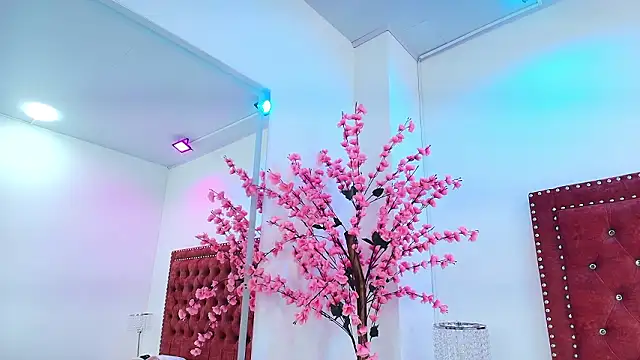 Gabriela milani online show from 02/04/26, 11:49