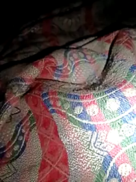 jerry 03467 online show from 03/19/26, 07:18