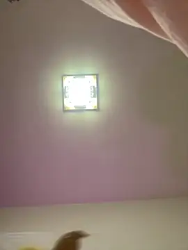 taotaobo online show from 12/15/25, 02:21