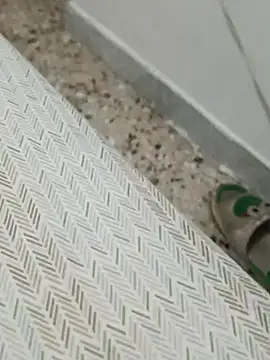 Snapshot of Lucastra98 chatting on 11/05/25, 08:14 Lucastra98 online show from 11/05/25, 08:14