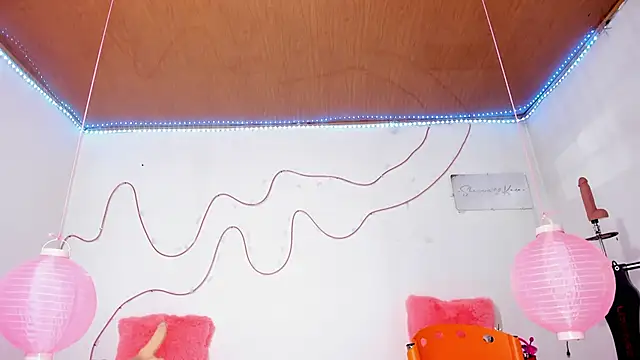 shannon kinne  online show from 11/12/25, 12:49