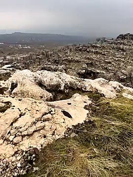 Sert erkek21 ysm online show from 02/02/26, 10:03