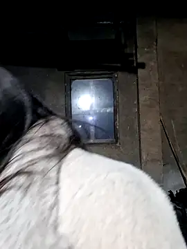 miomio-12 online show from 02/27/26, 12:49