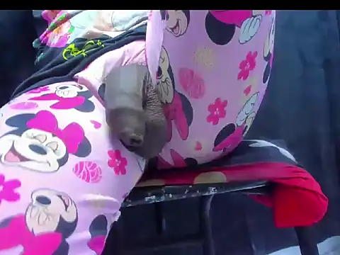 dirtybig cock22 online show from 11/22/25, 02:27