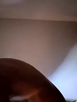 felipelon07 online show from 11/28/25, 05:10