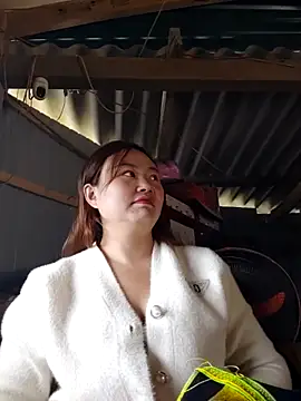 pi-pi-00 online show from 12/16/25, 02:16