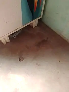 Tg sonam online show from 12/23/25, 07:17