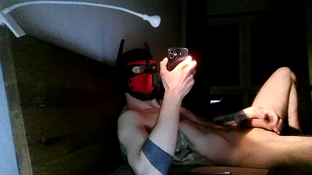 MolleDolle online show from 12/02/25, 07:31