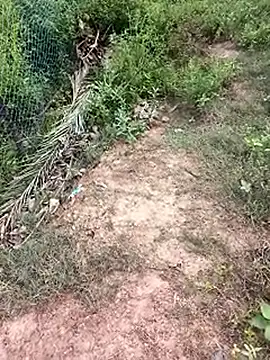 MalickKai online show from 10/14/25, 10:49