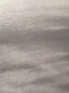 Y0ur Slave online show from 03/05/26, 07:26