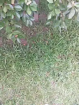 Snapshot of Merlin2310 chatting on 02/09/26, 07:40 Merlin2310 online show from 02/09/26, 07:40