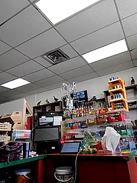 Snapshot of Cassaroll333 chatting on 11/30/25, 05:28 Cassaroll333 online show from 11/30/25, 05:28