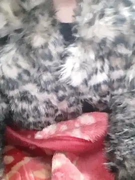 Mahi677 online show from 01/08/26, 06:43