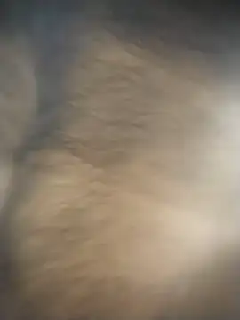 SL BEAR online show from 12/04/25, 01:48