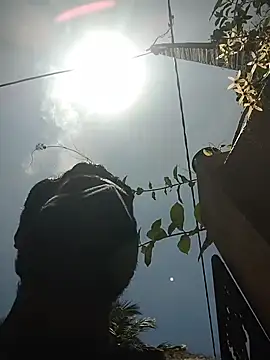 SL BEAR online show from 04/19/26, 06:46