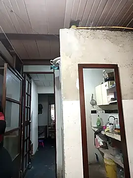 deseox05 online show from 11/19/25, 04:51