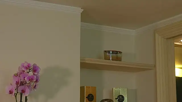 Snapshot of AbrilColls_ chatting on 03/03/26, 08:04 AbrilColls online show from 03/03/26, 08:04