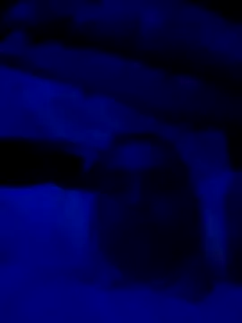 sexdol2 online show from 03/22/26, 09:13