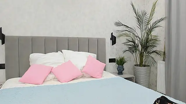 paradi see online show from 01/11/26, 08:41