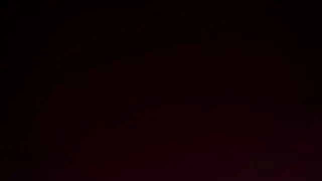 MonetLeitman online show from 04/08/26, 02:33