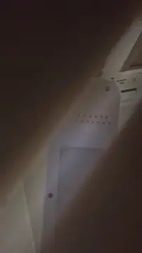 bunnydam online show from 11/06/25, 02:40