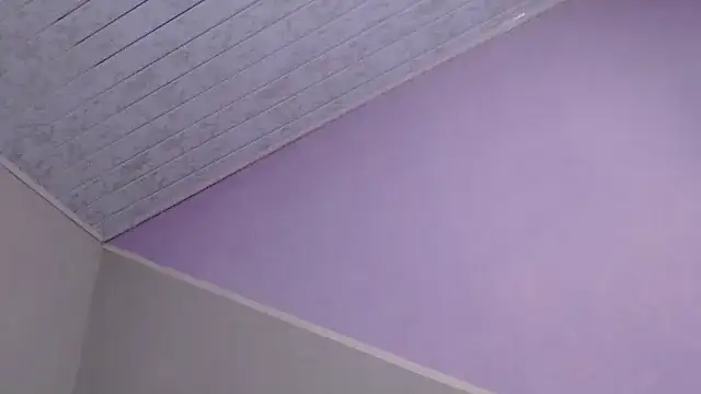 VioletGil Party  online show from 12/20/25, 07:21