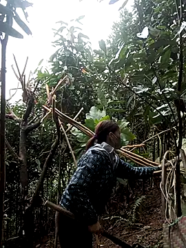 nat-tri online show from 01/07/26, 05:32