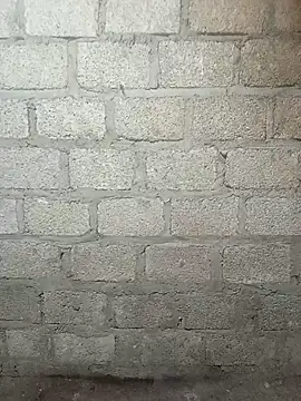 siusiu-00 online show from 03/11/26, 11:49