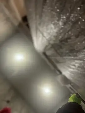 queenkelly1234 online show from 02/16/26, 12:56