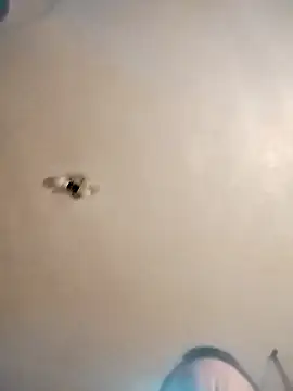 james81mzmga online show from 11/15/25, 08:11