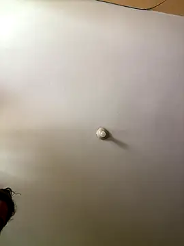 Techi0525 online show from 12/16/25, 05:18