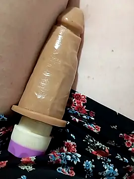 Taradinha pelosogro online show from 10/24/25, 12:01