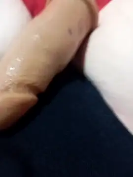 Taradinha pelosogro online show from 03/10/26, 10:37