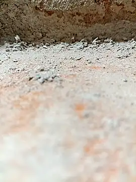 Rajni chauhan online show from 11/02/25, 08:11