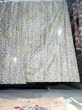 Rajni chauhan online show from 12/05/25, 04:14